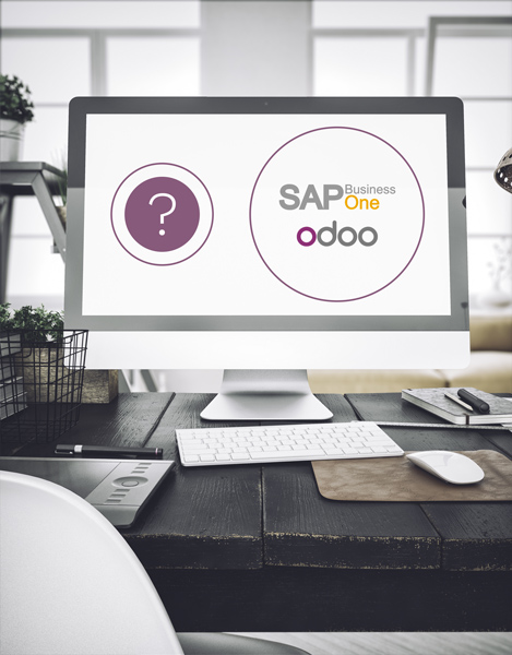 Binqiyun vs SAP Business One