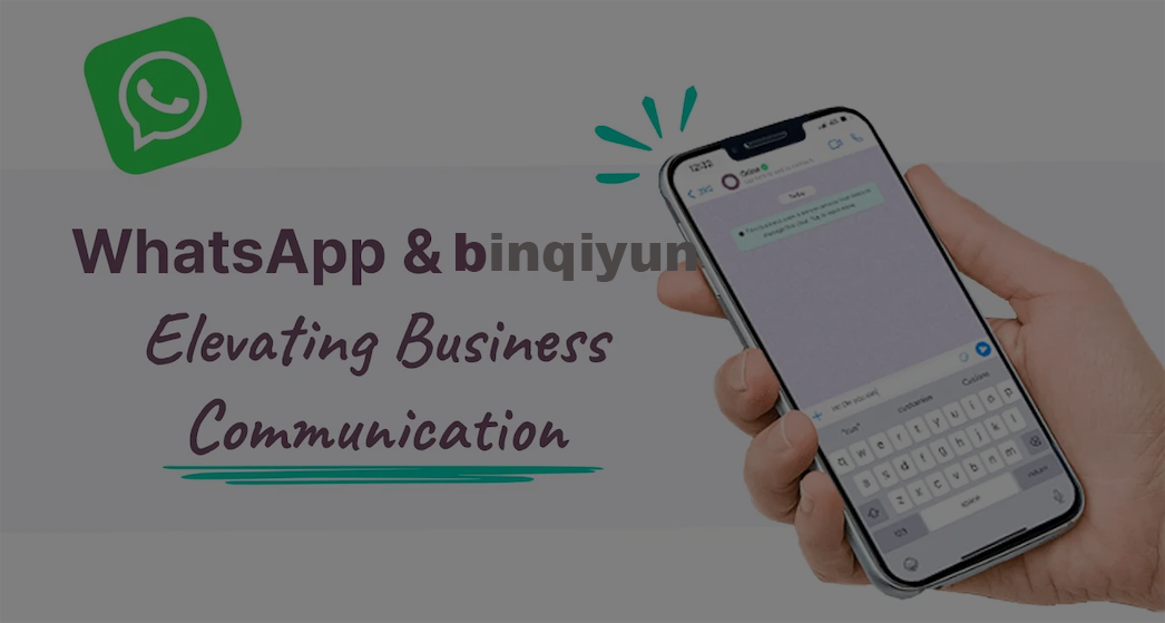 Binqiyun WhatsApp app interface